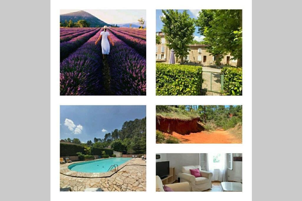 Eblouissant Appartement Au Calme D'Une Residence Avec Piscine Idealement Situe Au Pied Du Colorado Provencal Dans Le Prestigieux Luberon Rustrel Bagian luar foto